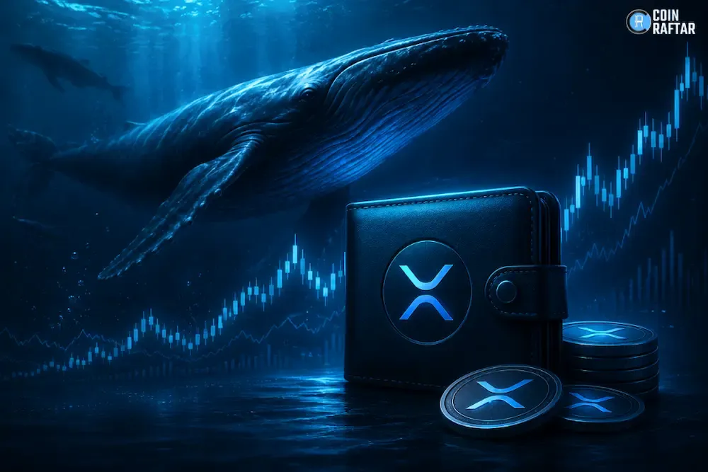 XRP Wallet Surge Signals